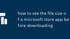 Comment voir la taille du fichier d'une application Microsoft Store avant de télécharger
