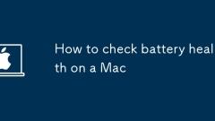 Mac?? ??? ??? ???? ??