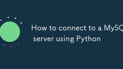 Python? ???? MySQL ??? ???? ??