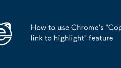 Chrome? 'Copy inlink to Highlight'??? ???? ??