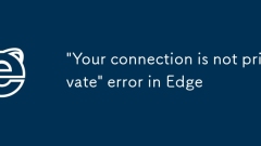 'Your connection is not private' error in Edge