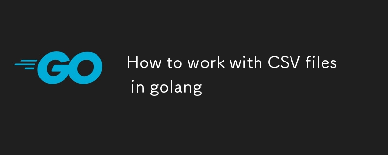 Golang?? CSV ?? ?? ??