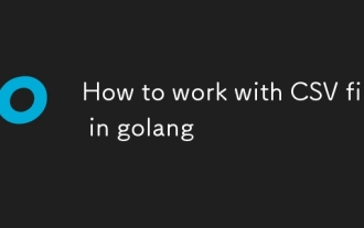 如何使用Golang的CSV文件