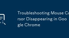 Troubleshooting Mouse Cursor Disappearing in Google Chrome