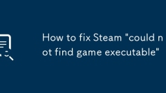 How to fix Steam 'could not find game executable'