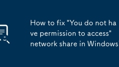 How to fix 'You do not have permission to access' network share in Windows?