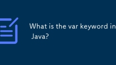 Apakah kata kunci var di java?