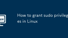 How to grant sudo privileges in Linux