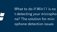What to do if Win11 is not detecting your microphone? The solution for microphone detection issues