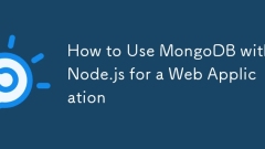 如何將mongoDB與node.js一起用于Web應(yīng)用程序