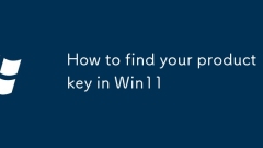 Win11?? ?? ?? ?? ??