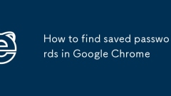 Chrome?? ??? ????? ?? ??