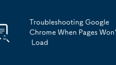 ???????? ??? Google ?? ?? ??
