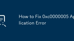 How to Fix 0xc0000005 Application Error