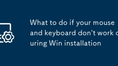 What to do if your mouse and keyboard don't work during Win installation