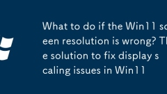 What to do if the Win11 screen resolution is wrong? The solution to fix display scaling issues in Win11