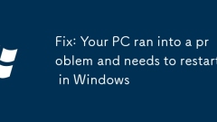 Fix: Your PC ran into a problem and needs to restart in Windows