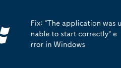 Fix: 'The application was unable to start correctly' error in Windows