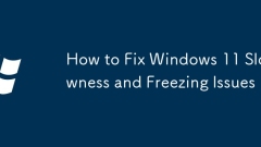 How to Fix Windows 11 Slowness and Freezing Issues