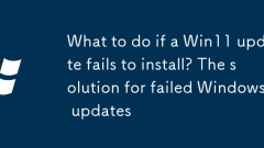 What to do if a Win11 update fails to install? The solution for failed Windows updates