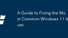 A Guide to Fixing the Most Common Windows 11 Issues