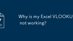 Warum funktioniert mein Excel Vlookup nicht?