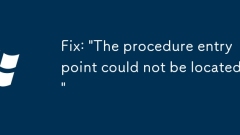 Fix: 'The procedure entry point could not be located'