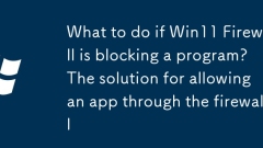 What to do if Win11 Firewall is blocking a program? The solution for allowing an app through the firewall