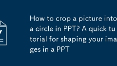 Comment recadrer une image en cercle en PPT? Un tutoriel rapide pour fa?onner vos images dans un PPT