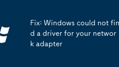 Fix: Windows could not find a driver for your network adapter