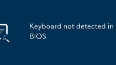 Keyboard not detected in BIOS
