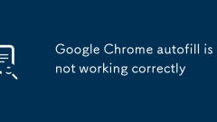 Google Chrome autofill is not working correctly