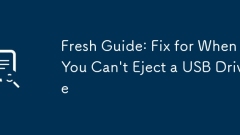 Fresh Guide: Fix for When You Can't Eject a USB Drive