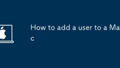 How to add a user to a Mac