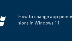 How to change app permissions in Windows 11