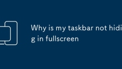 Why is my taskbar not hiding in fullscreen