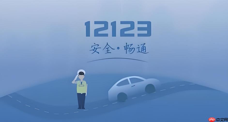 12123官网登录入口 12123官网登录页面地址