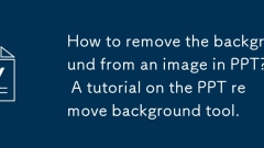 Bagaimana cara membuang latar belakang dari imej dalam ppt? Tutorial pada ppt Alih keluarkan alat.