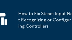 Cara Memperbaiki Input Steam Tidak Mengiktiraf atau Mengkonfigurasi Pengawal