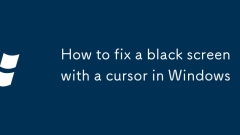 How to fix a black screen with a cursor in Windows