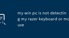 my win pc is not detecting my razer keyboard or mouse