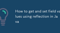 How to get and set field values using reflection in Java