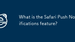 What is the Safari Push Notifications feature?