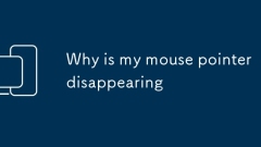 Why is my mouse pointer disappearing