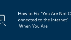 How to Fix 'You Are Not Connected to the Internet' When You Are