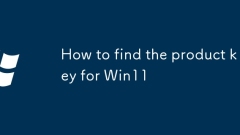 How to find the product key for Win11