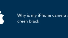 Pourquoi mon écran de caméra iPhone est-il noir