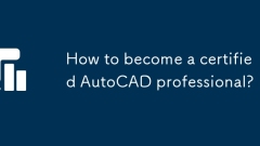 How to become a certified AutoCAD professional?