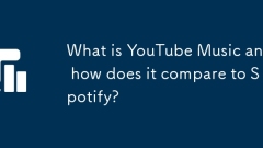 What is YouTube Music and how does it compare to Spotify?