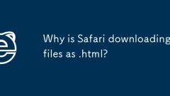 Why is Safari downloading files as .html?